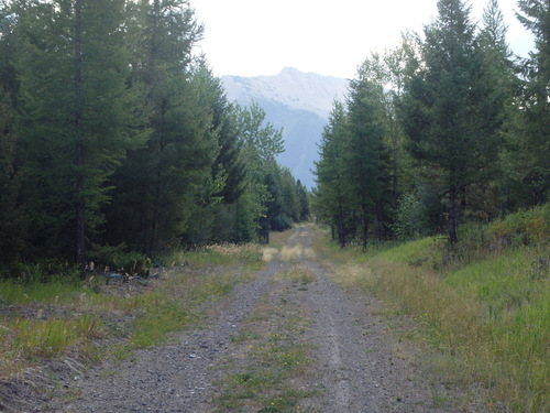 GDMBR: Southwest bound (approaching Richmond Peak, MT).